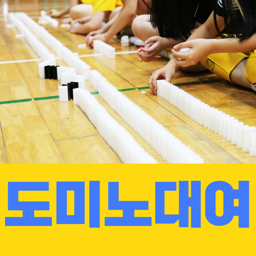 도미노대여  도미노렌탈 도미노 레크레이션 : 마술여행 주식회사