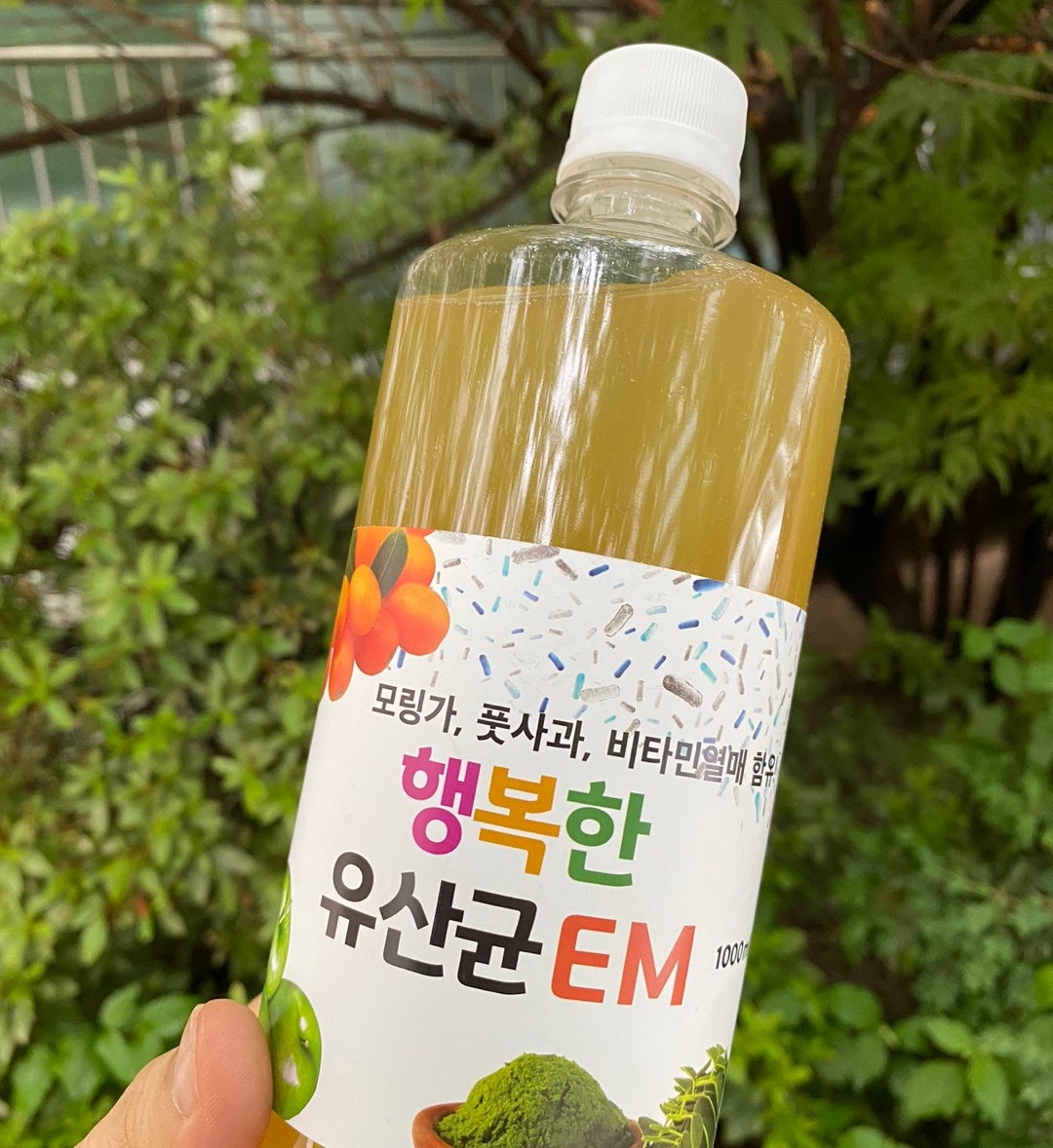 마시는 em 식용 이엠 6통 유정룡효소과학 : 행복한도가수