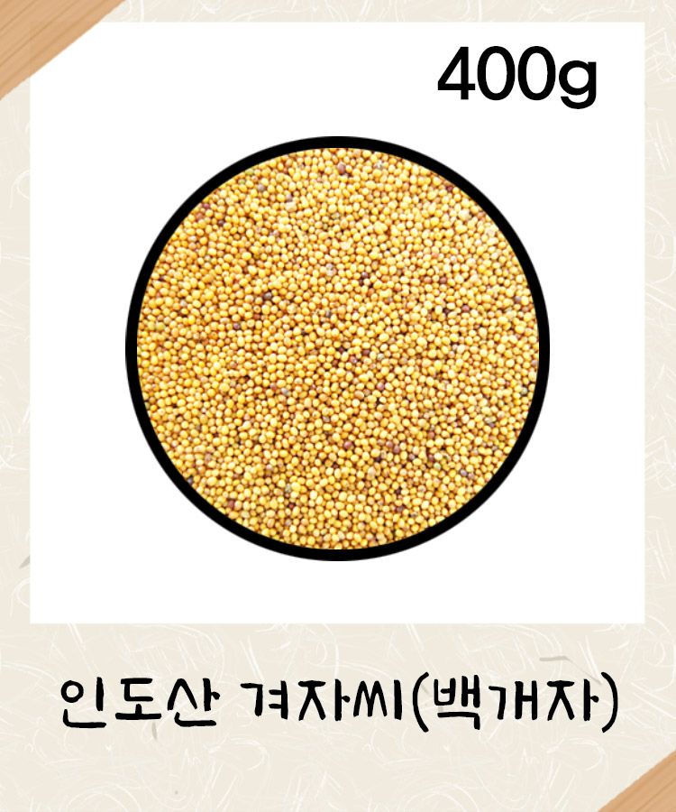 [인도산] 겨자씨앗 400g 겨자씨 백개자 개자 : 성보식품