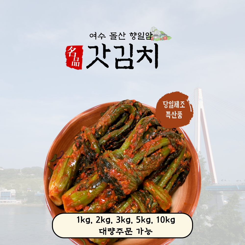 왕 고들빼기 김치 꼬들배기 순천 꼬들빼기 여수 고들빼기김치 : 여수바다참맛