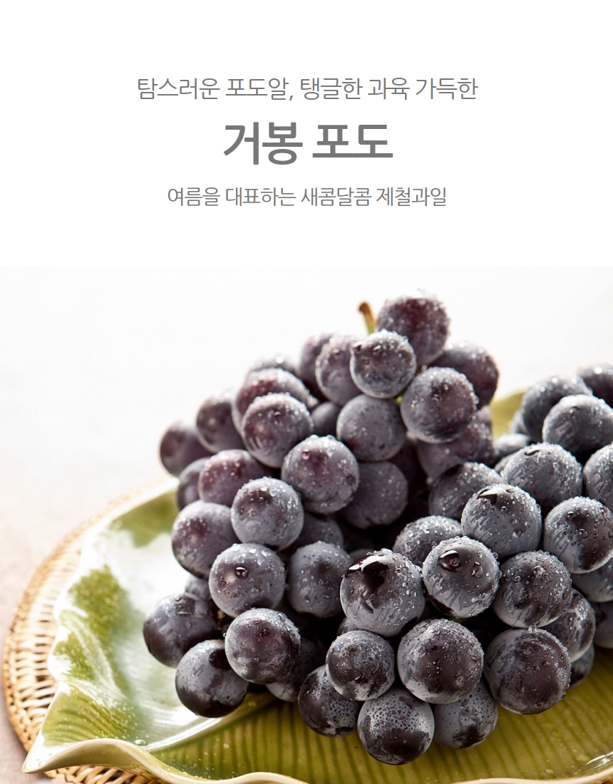 김천 거봉 포도 제철 1kg 2kg 가정용 선물용 : 은서네식탁