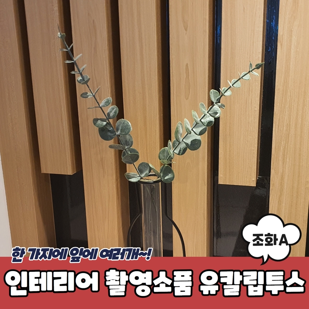 유칼립투스 조화 A 한줄기 인조 인테리어 데코 나뭇잎 잎사귀 촬영소품 그린 장식 가짜 : 쇼피디아