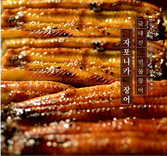 살이 통통 국내산 최상급 자포니카 풍천 민물장어 1kg  (소스, 생강 포함) 당일손질 당일발송 : 노블앤영