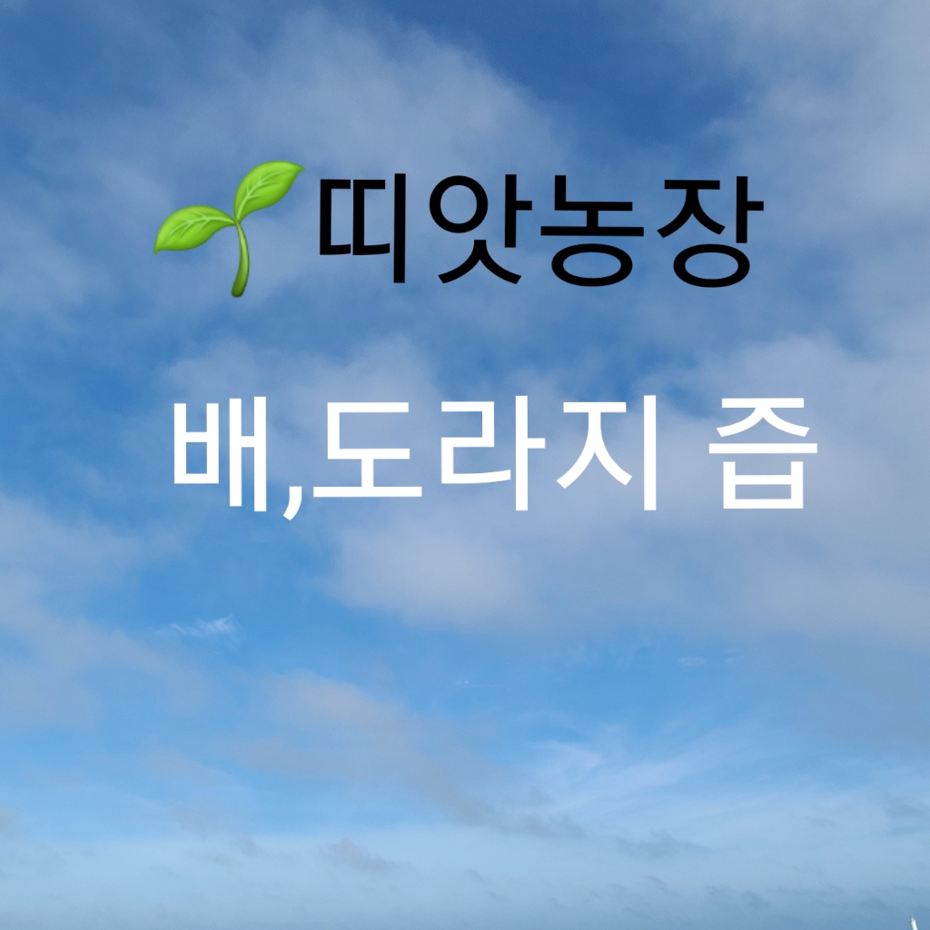 띠앗농장 사포닌10배 도라지배즙 100ml 30포 : 띠앗농장