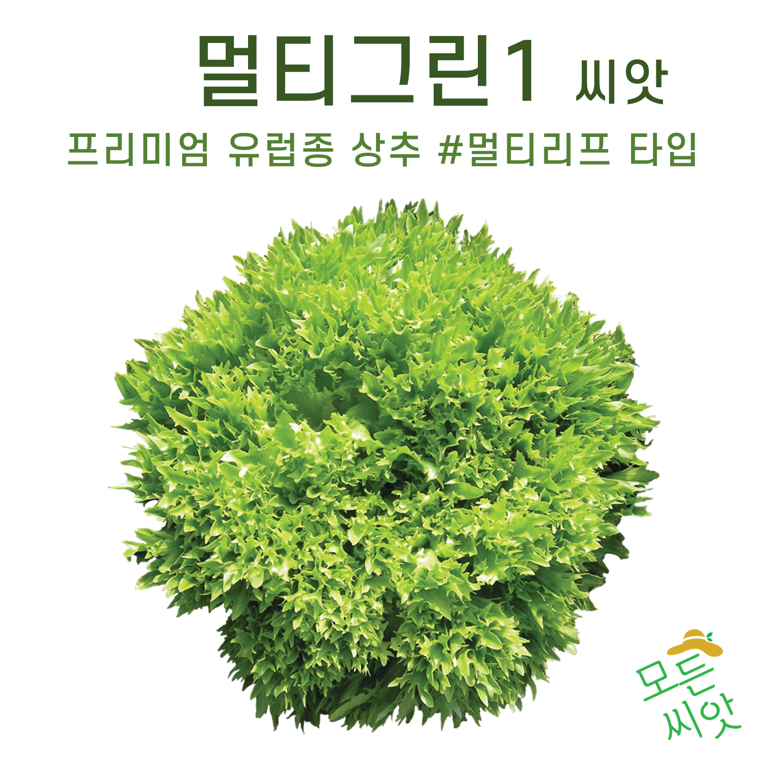 유럽상추 멀티그린1 100립 멀티리프 타입 : 모든씨앗