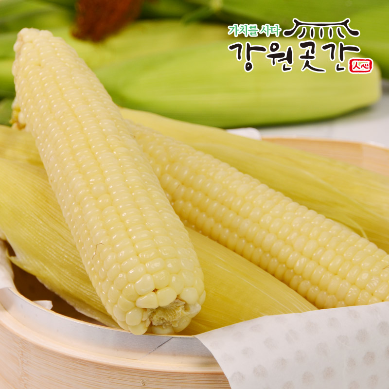 쫀득한 강원도 영월 미백 찰옥수수 30개 20개 냉동 찐옥수수 : 강원곳간