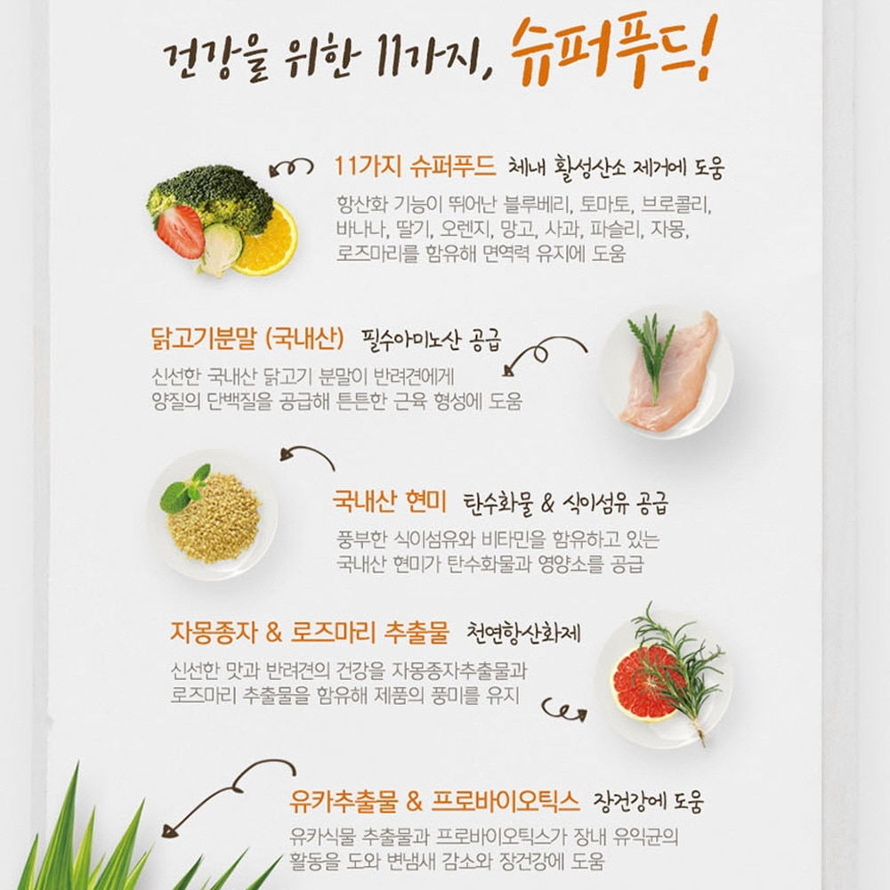 진돗개사료 진도사료 진도개 진도견 슈슈진도 10kg : 펫그레이