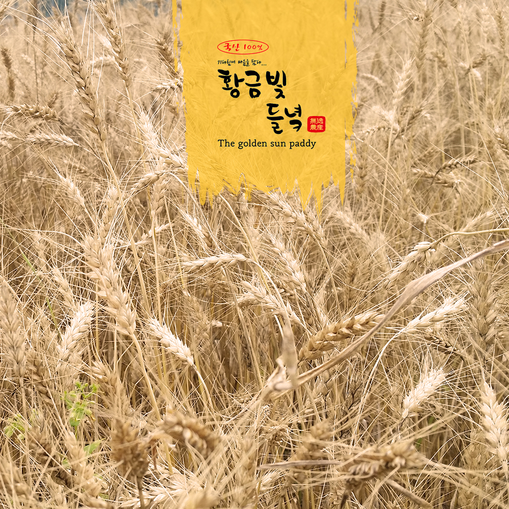[황금빛들녘] 우리밀 통밀가루 3kg : 무일농산