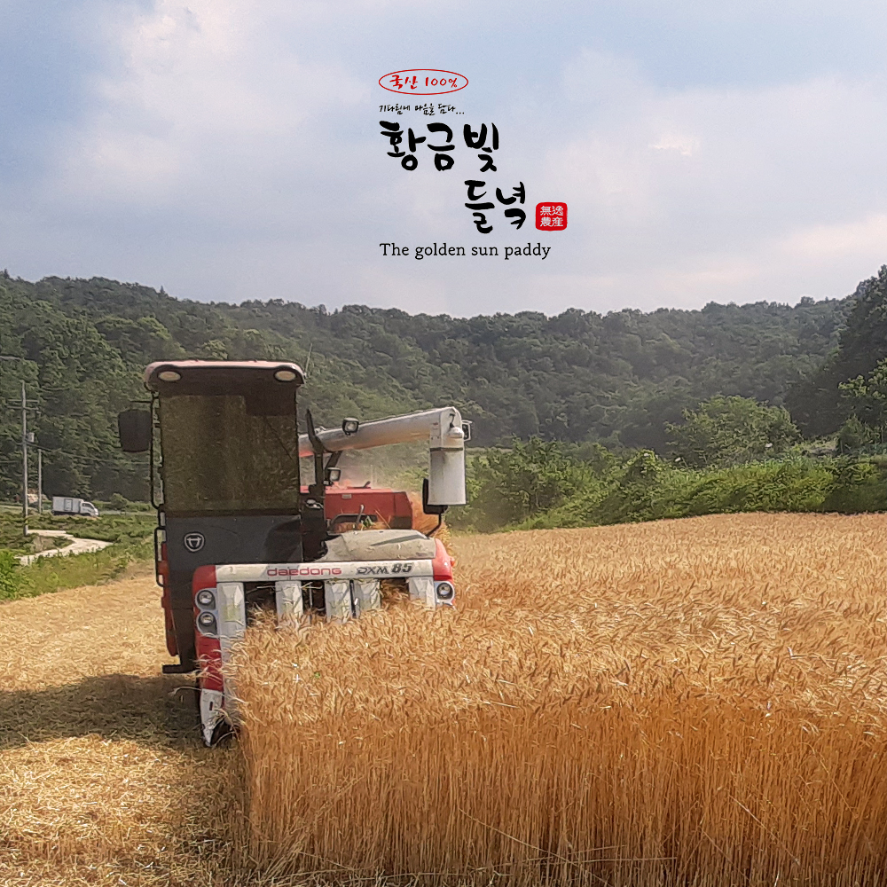 [황금빛들녘] 우리밀 통밀가루 3kg : 무일농산
