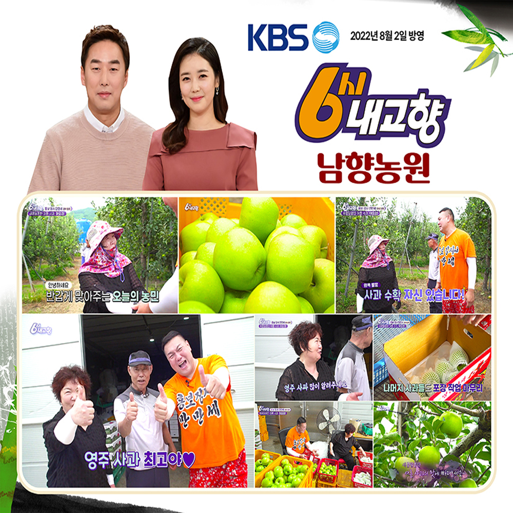 6시내고향 방영 농가 영주 아오리 사과 5kg : 남향농원