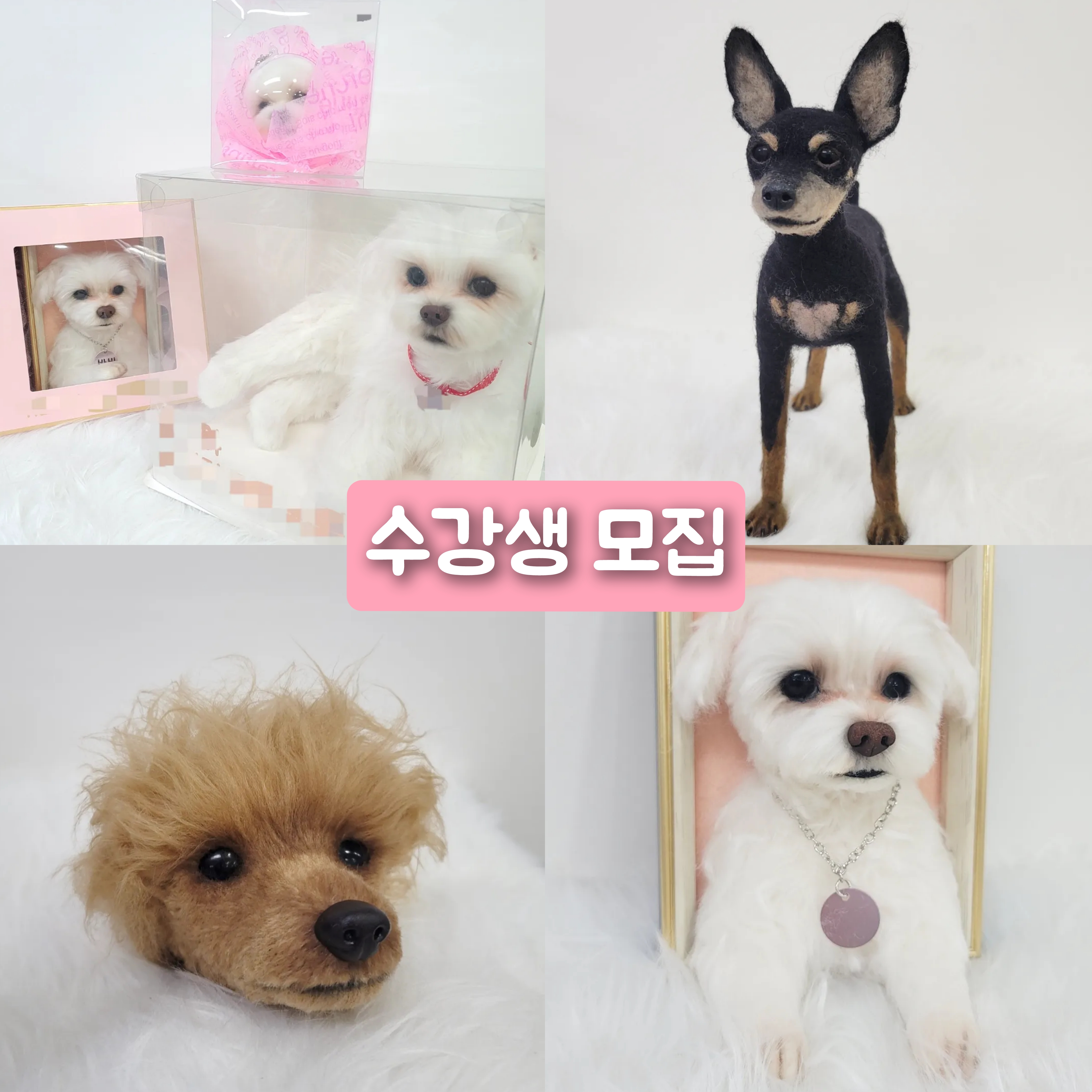 반려동물양모펠트지도사 2급 : 펫인펠트