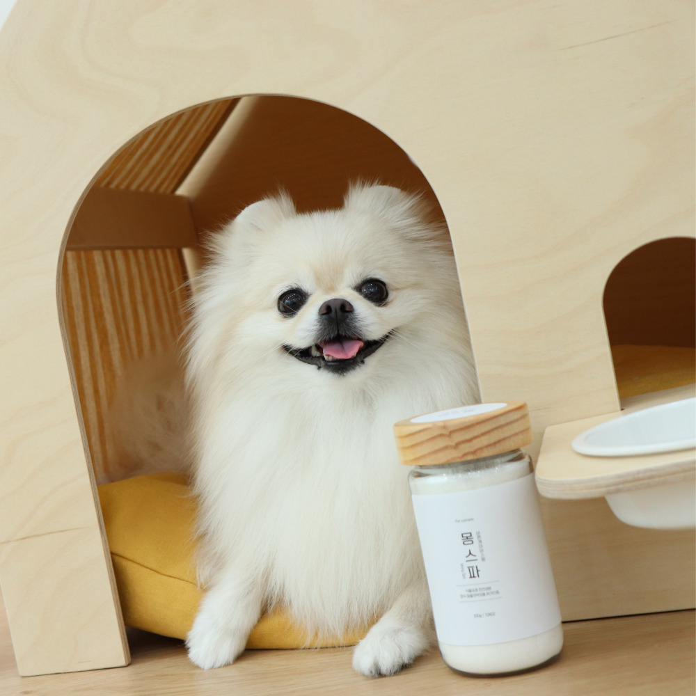 강아지 탄산 스파 입욕제 곰팡이성 피부염 습진 발사탕 비린내 각질 샴푸 : 바스몽