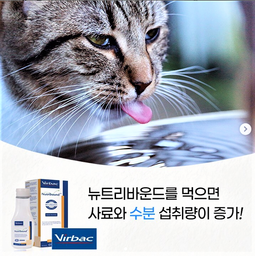 버박 뉴트리바운드 캣 고양이 노묘 종합 영양제 150ml : 다나코리아