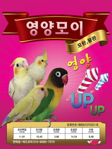 영양모이 중소형앵무새모이(모란앵무,왕관앵무,사지나미,카카리키,유리앵무) : 버드모아