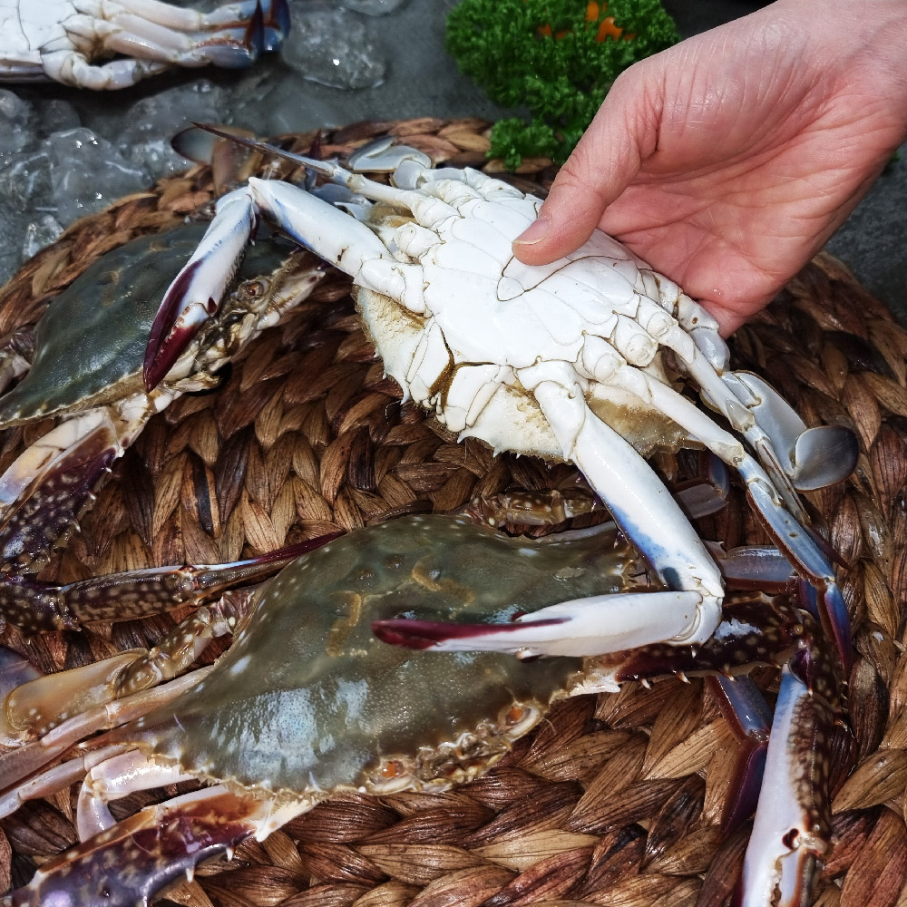 당일조업 제철 생물 봄 가을 꽃게 1kg 태안 알베기 암 숫꽃게 냉동 절단 : 장군농수산