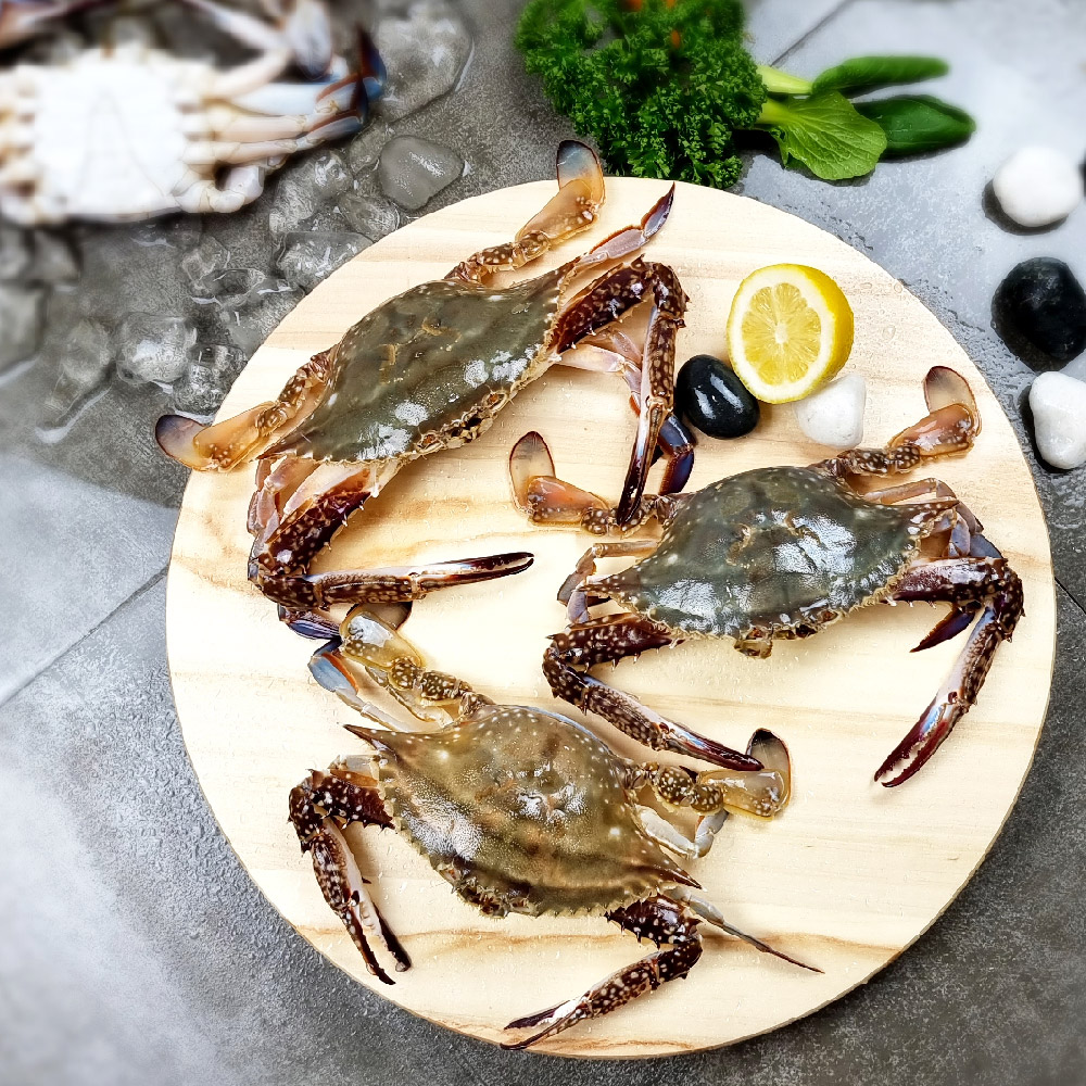 당일조업 제철 생물 봄 가을 꽃게 1kg 태안 알베기 암 숫꽃게 냉동 절단 : 장군농수산