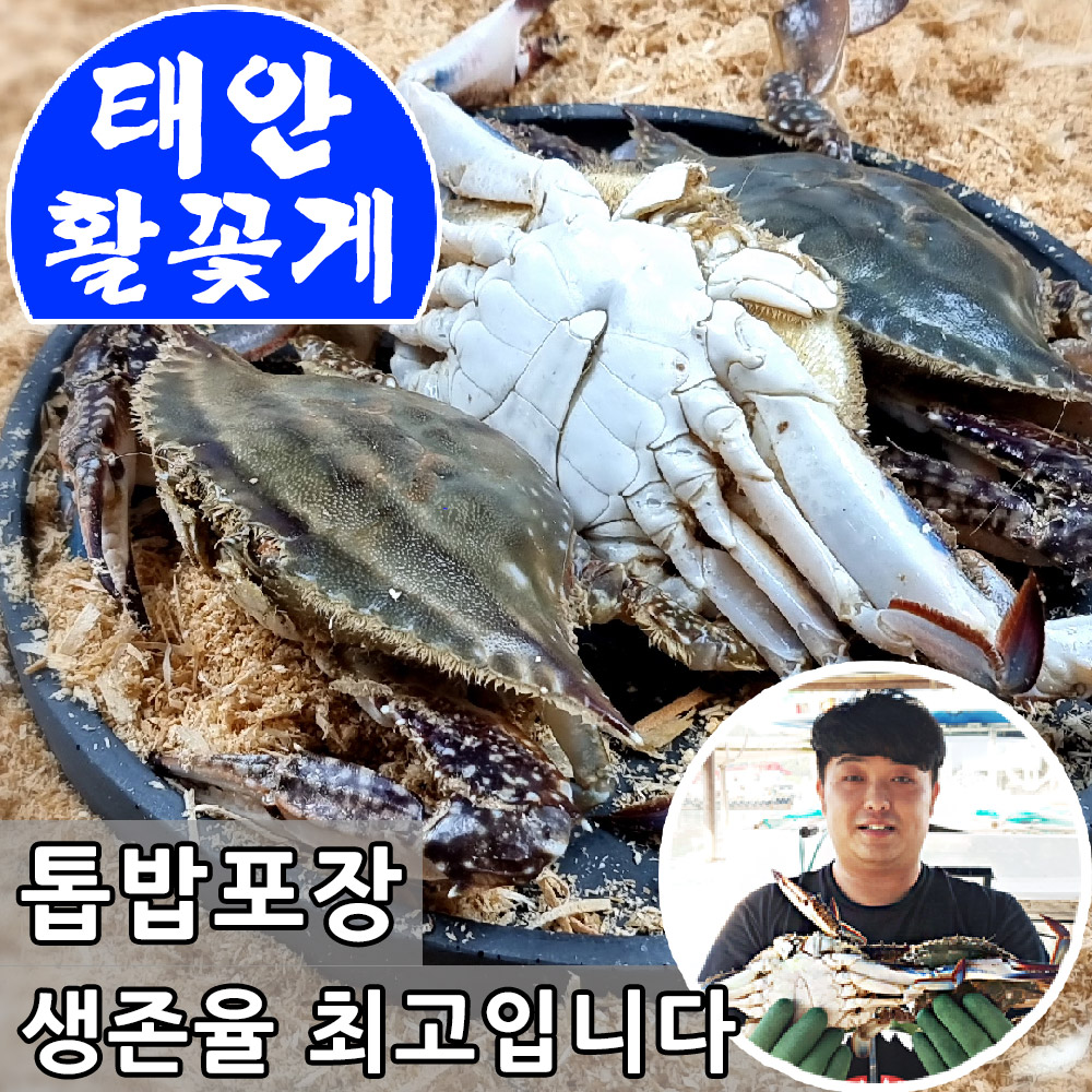 당일조업 제철 생물 봄 가을 꽃게 1kg 태안 알베기 암 숫꽃게 냉동 절단 : 장군농수산