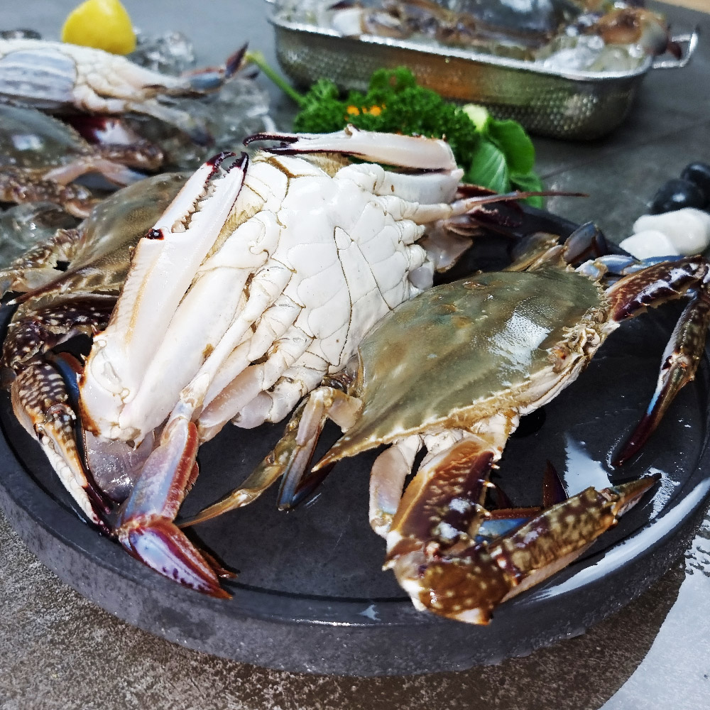 당일조업 제철 생물 봄 가을 꽃게 1kg 태안 알베기 암 숫꽃게 냉동 절단 : 장군농수산