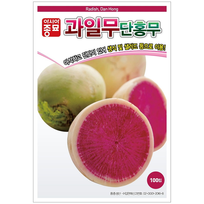 아시아 단홍무 과일무씨앗 100립 채소종자 샐러드 단홍무씨 : 연두네씨앗