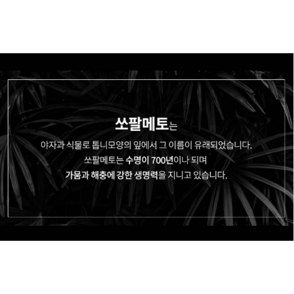 전립선 쏘팔메토 로르산 포맨 전립샘 옥타코사놀 : 또또네마트