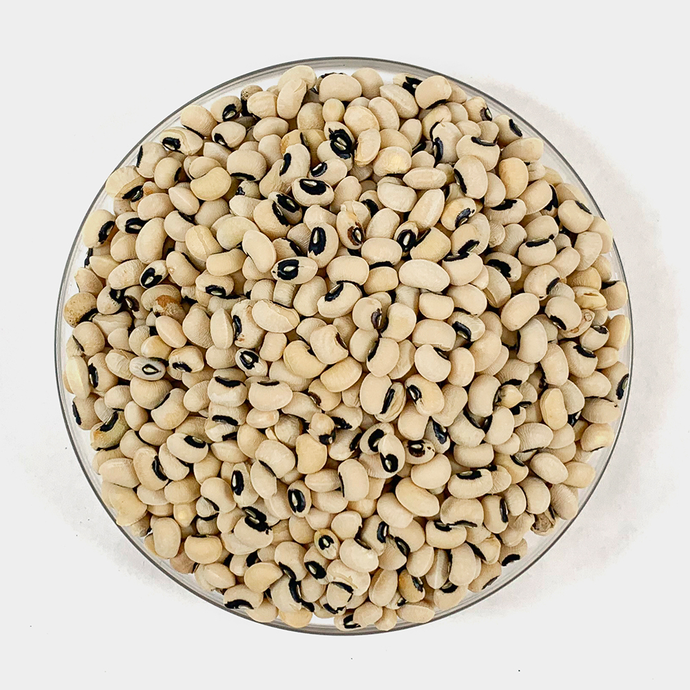 동부콩 1kg 흰콩 흰강낭콩 하얀콩 : 오허브 마트