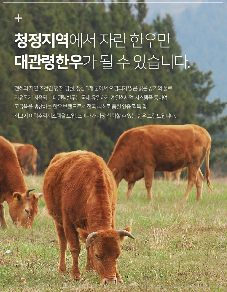 대관령한우 안심 1등급(600g) 단체추석선물 명절선물 : 레이니 영