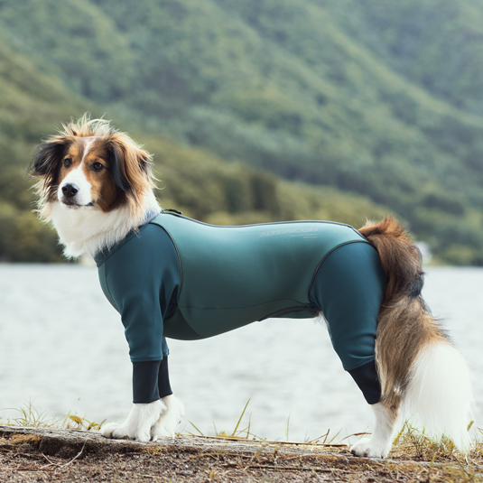 알파아이콘 2022 W.풀 독 가드 포레스트 그린 W. Full Dog Guard Forest Green : 갱스터도그