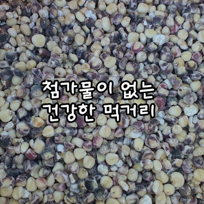 2024국산 햇 찰옥수수알 밥에 넣어 먹는알갱이 깐 옥수수알 800g 탈피 : 사랑채마켓
