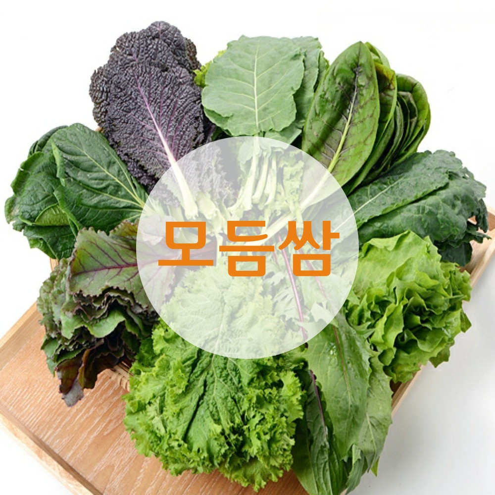모듬쌈채소 6-9종 2kg내외 신선농장 모듬쌈 : 신선농산