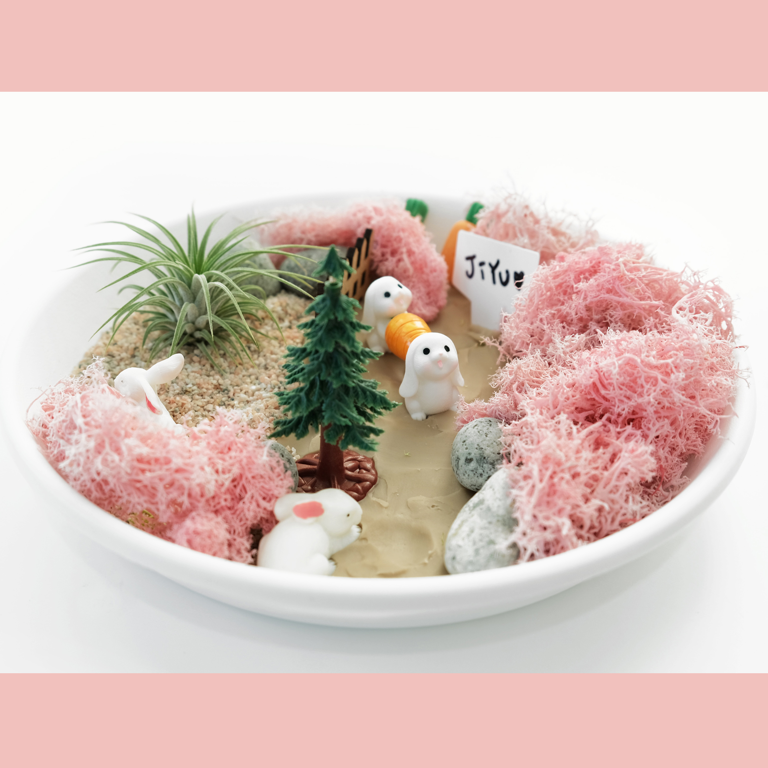 꼬마 정원 테라리움 DIY / 청소년 노인 어린이 단체 여름 원예활동 식물 키트 : 바니그라운드