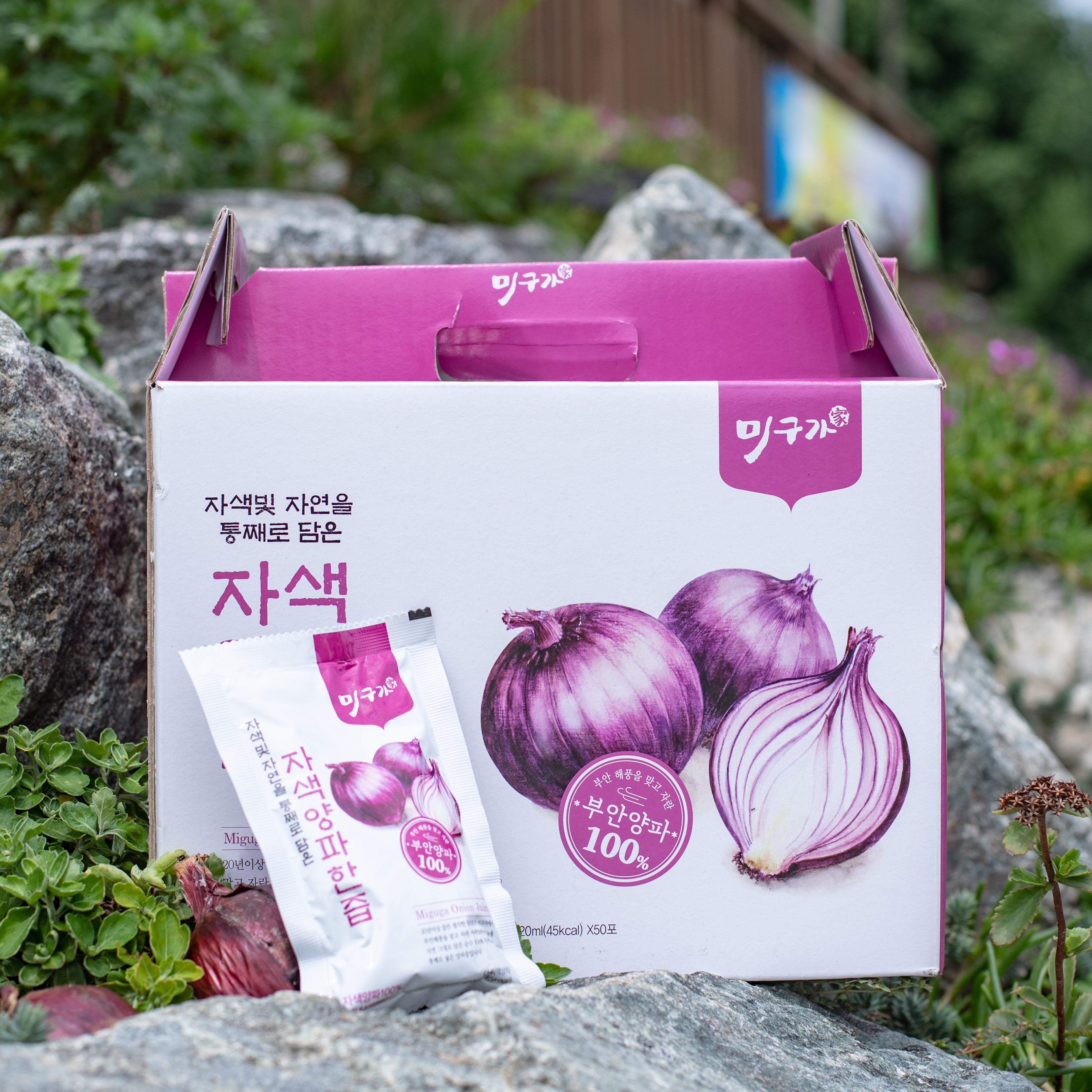 미구가 부안 해풍 자색양파즙 120ml X 50봉 : 부안텃밭할매