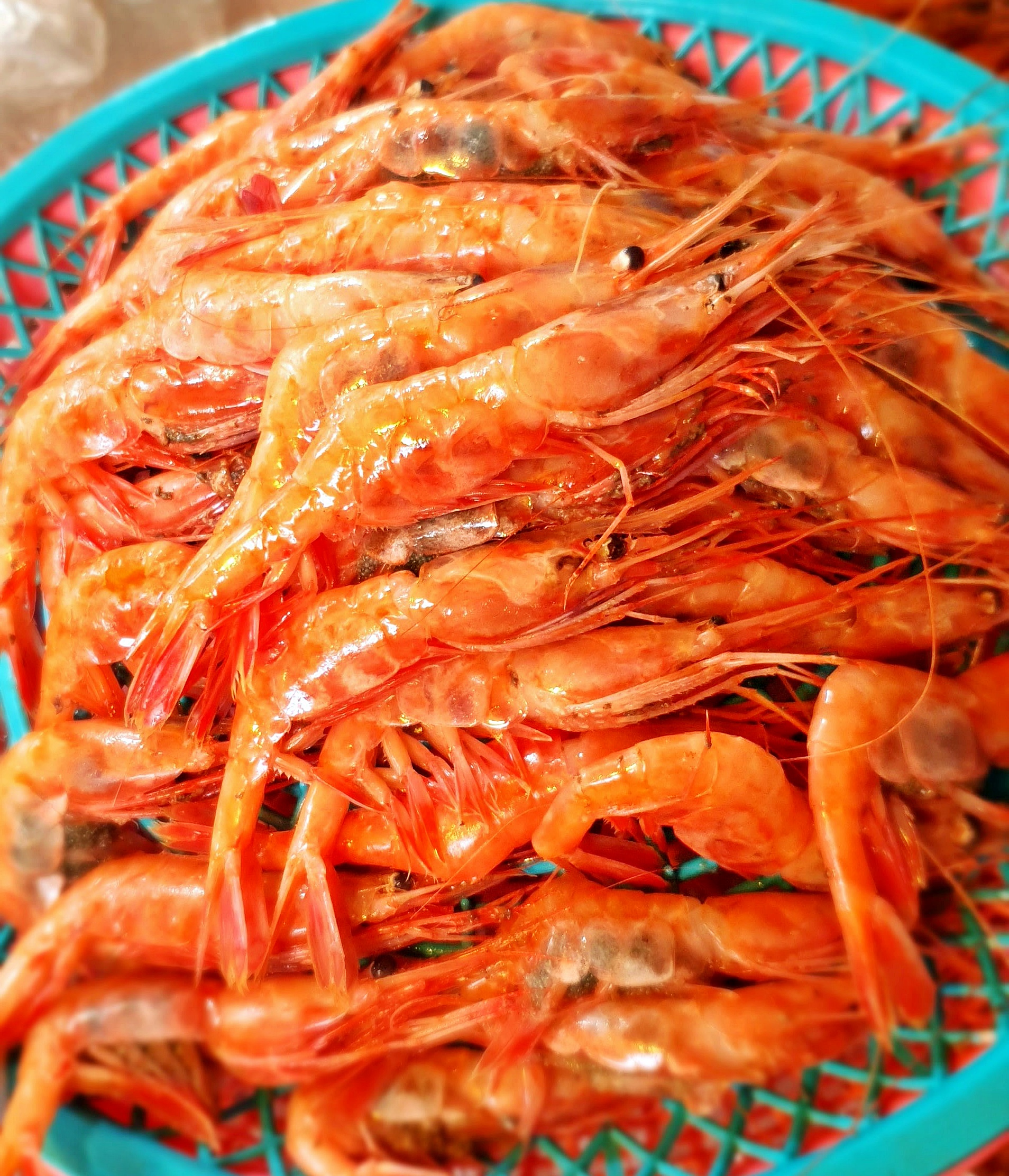 [죽도시장] 특산물 생물 단새우 독도새우 꽃새우 500g 1kg 홍새우 아마에비 새우회 구이용 횟감 : 팜이안