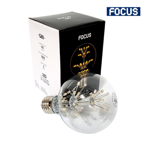 포커스 LED 눈꽃전구 G80 2W E26 엘디자인램프 : 큐씨조명