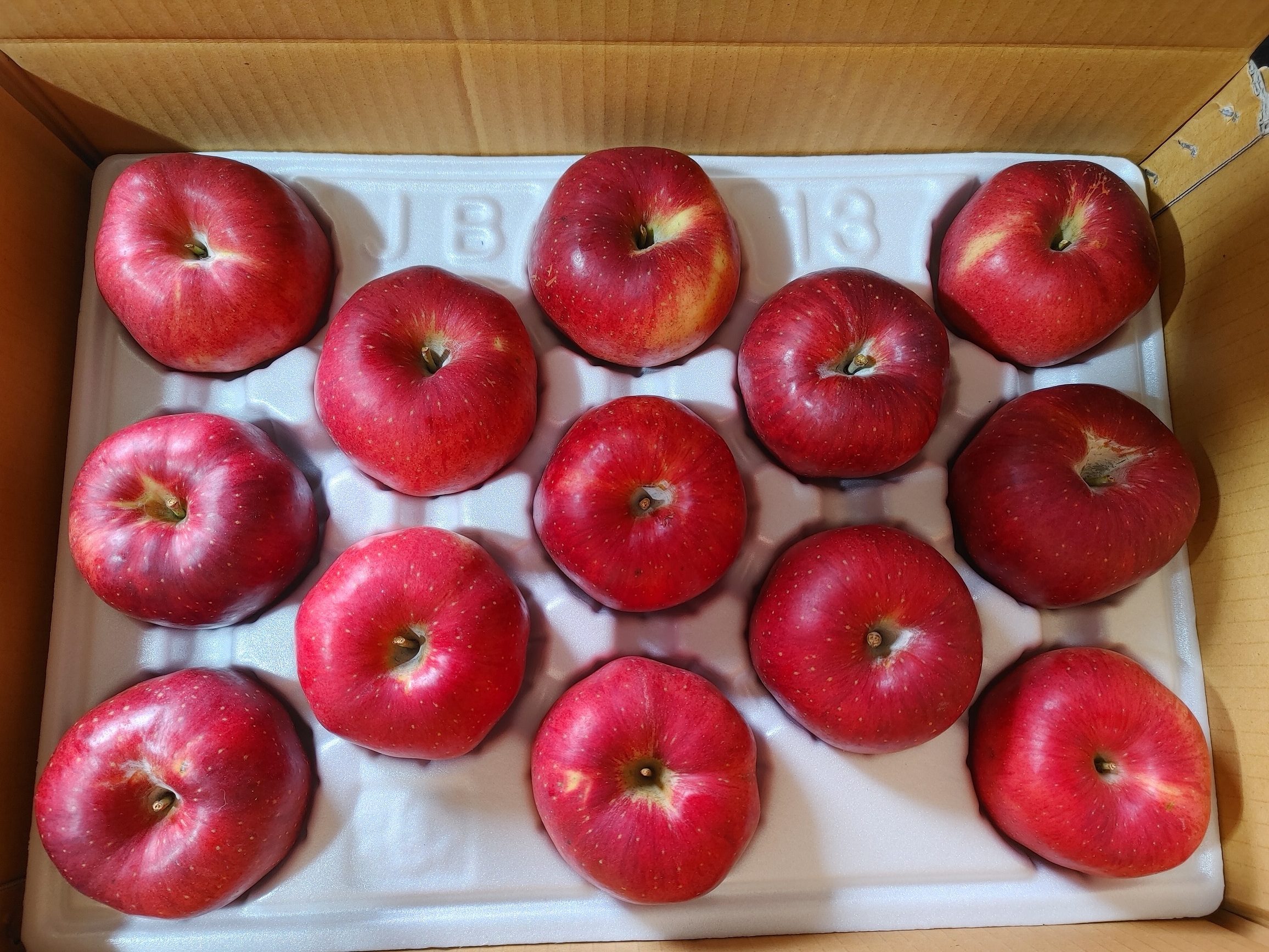 양구펀치볼드림농원 홍로사과 꿀사과 5kg : 양구 펀치볼드림사과농원