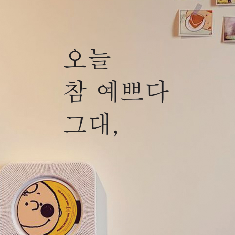 오늘 참 예쁘다 그대 레터링 감성 글귀 포인트 스티커 시트지 : THESARA