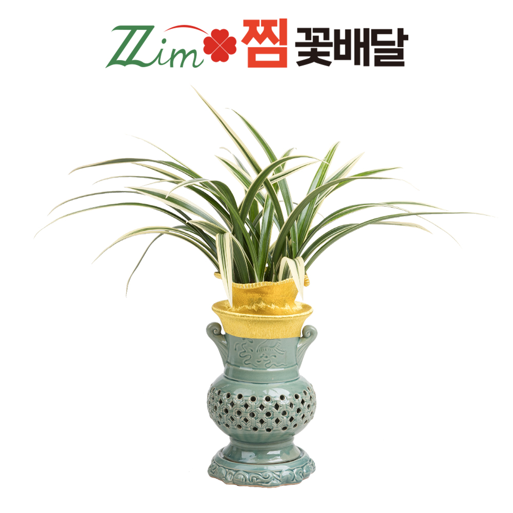 수원 태양금 수원시 승진화분 : 찜 전국꽃배달서비스당일배송