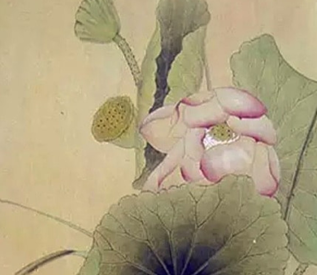 HB24 화병도안 연꽃도안 : 화원방