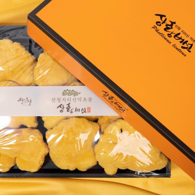 지리산 산청 약초골 무농약 상황버섯(선물세트) : GreenB