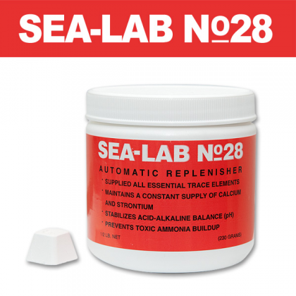 씨랩 SEA LAB NO 28 230g 거북이 가재 칼슘 해수어영양제 보충제 : 시스펫
