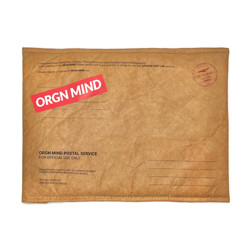 ORGN MIND 에어 맥북 파우치 노트북 아이패드 가방 빈티지 레트로 케이스 : 드래곤레이크 랩