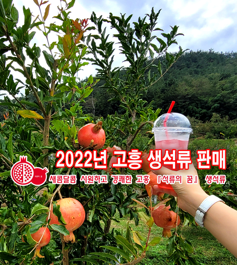 고흥 새콤달콤 생석류 [소과] : 고흥석류