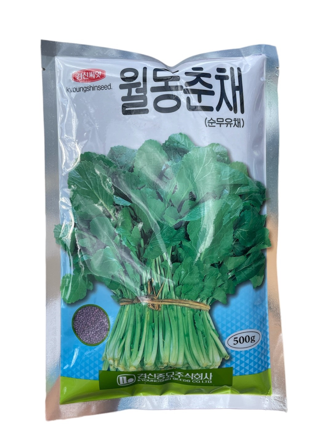 월동춘채 씨앗 500g 25년포장 순무유채 종자 경신 : 씨앗하우스
