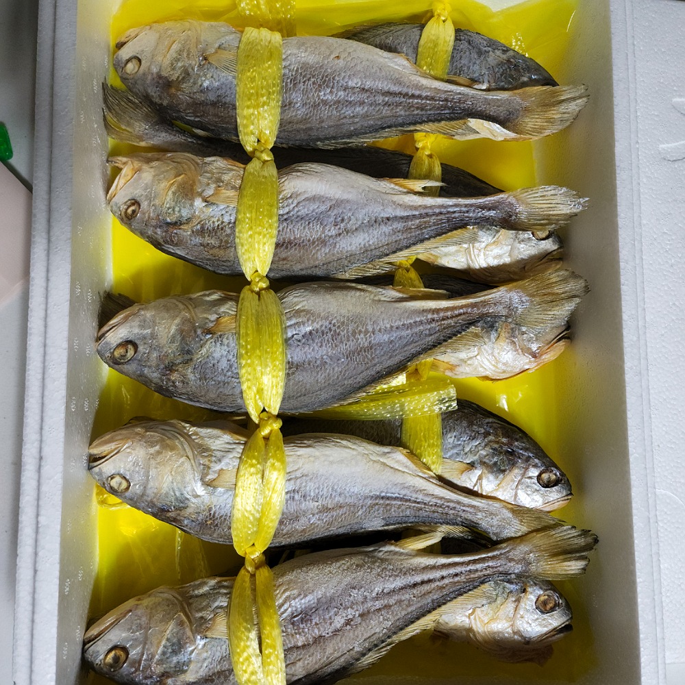 실속형  진짜비린네1도없는 옥천솔내음굴비 대10미(28cm내외) 비늘과 내장이 제거되었슴니다 : 떡판들산골생선
