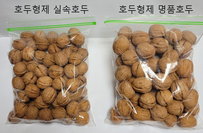 호두형제