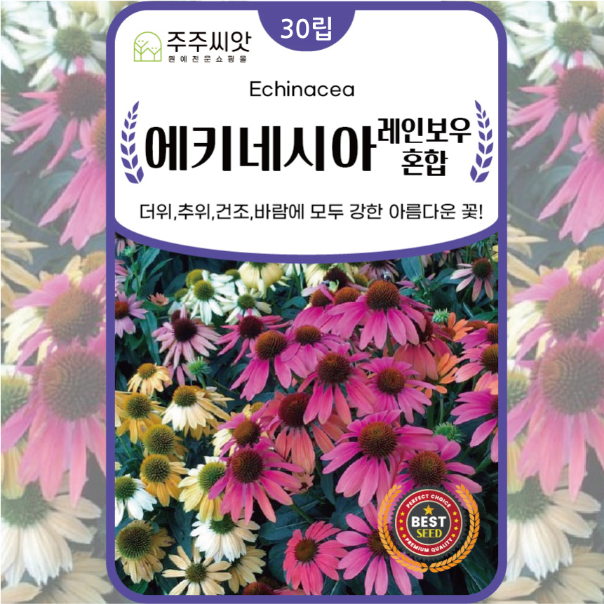 에키네시아 씨앗 30립 에키네시아혼합 종자 노지 월동 다년생 야생화 꽃씨 몰 꽃씨앗 : 주주씨앗