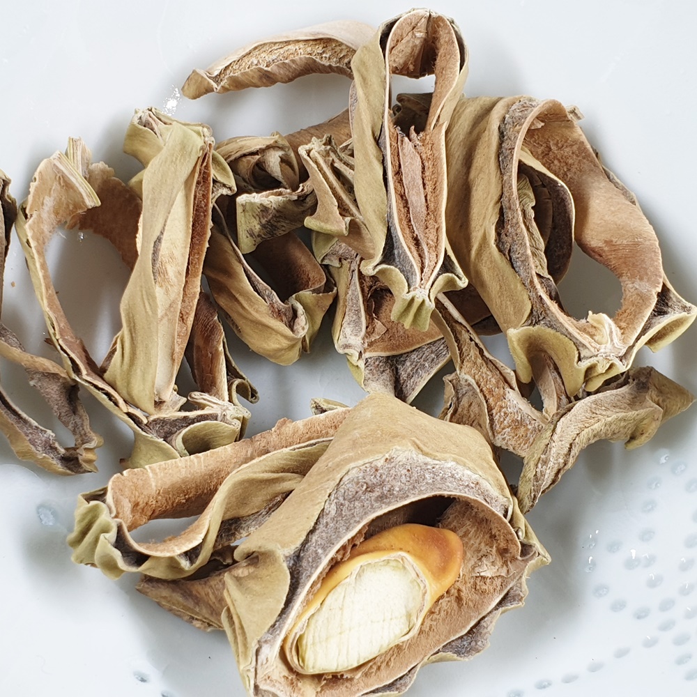 선다원 작두콩차 80g 효능 국내산 전남 보성 볶은 작두콩 : 보성녹차선다원