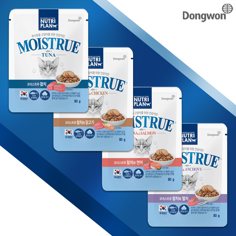 동원 뉴트리플랜 모이스트루 혼합 80gx24개 참치6 연어6 닭고기6 멸치6 고양이 간식 : 신묘한냥이