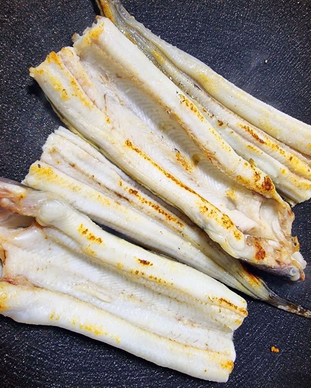 통영 바다장어 붕장어 1키로 2~3미 750g 내외 통영 산지직송 : 용이수산