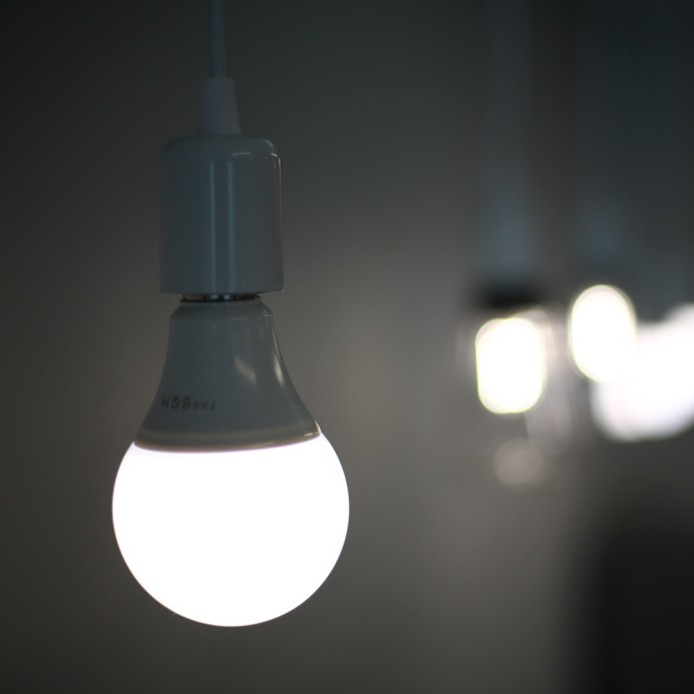 더봄 썬라이크 LED 식물등 식물전구 생장 성장 재배 조명 : 자재1번가