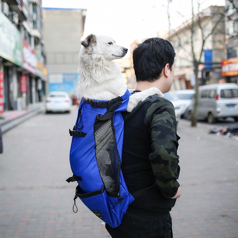애완 동물 강아지 캐리어 여행 배낭 어깨 개 야외 가방 환기 자전거 바이크 오토바이 하이킹 스포츠 : 미소미팔